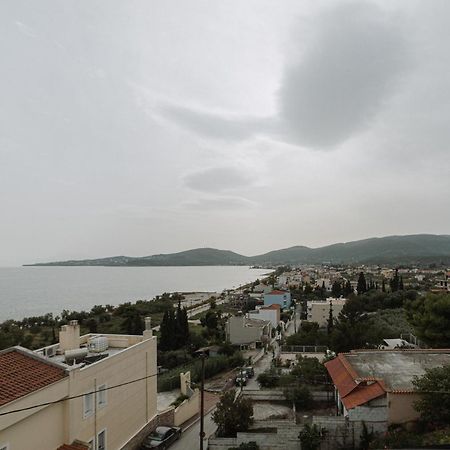 Niki House Daire Golos Dış mekan fotoğraf