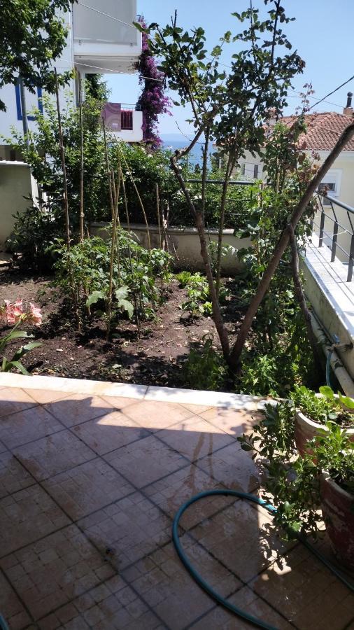 Niki House Daire Golos Dış mekan fotoğraf