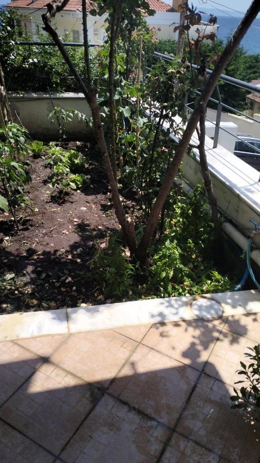 Niki House Daire Golos Dış mekan fotoğraf
